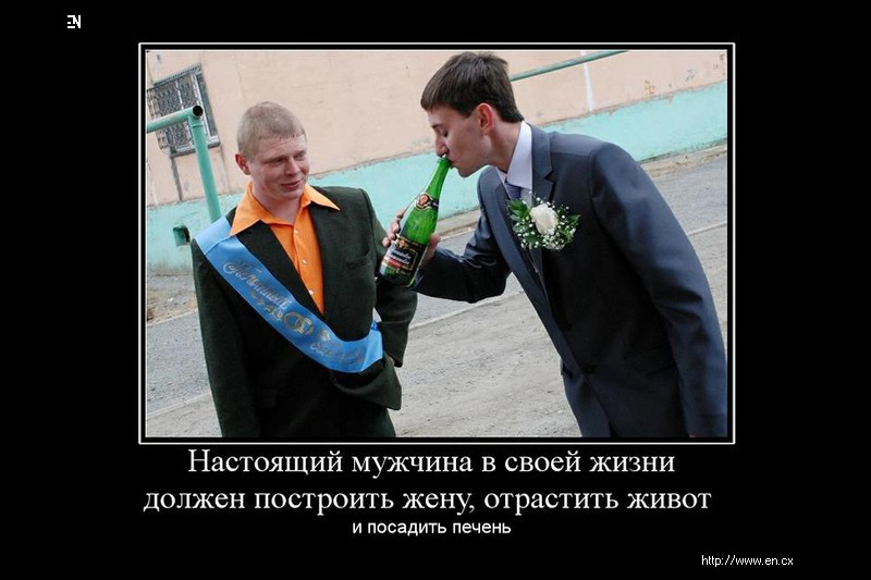 Что должен мужчина посадить печень Что должен мужчина посадить печень