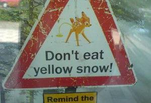 6113_3057_yellow-snow-warning.jpg