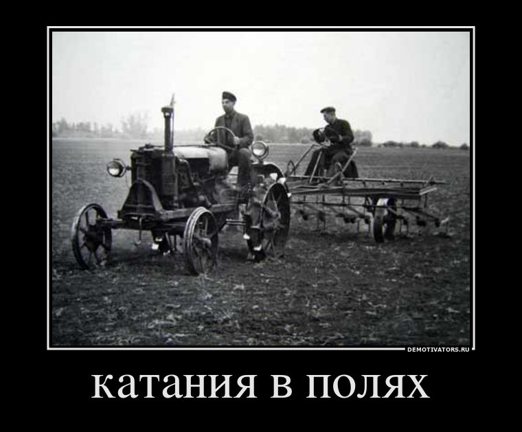 798491_kataniya-v-polyah_demotivators_ru.jpg