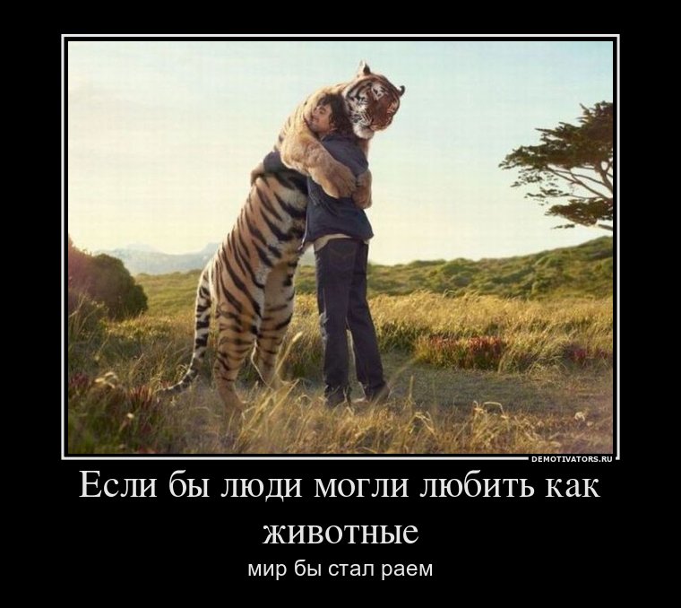 336843_esli-byi-lyudi-mogli-lyubit-kak-zhivotnyie_demotivators_ru.jpg