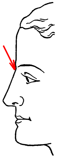 08-face-profile.png