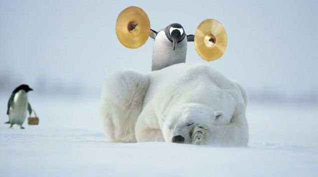Penguin polar bear symbols.jpg