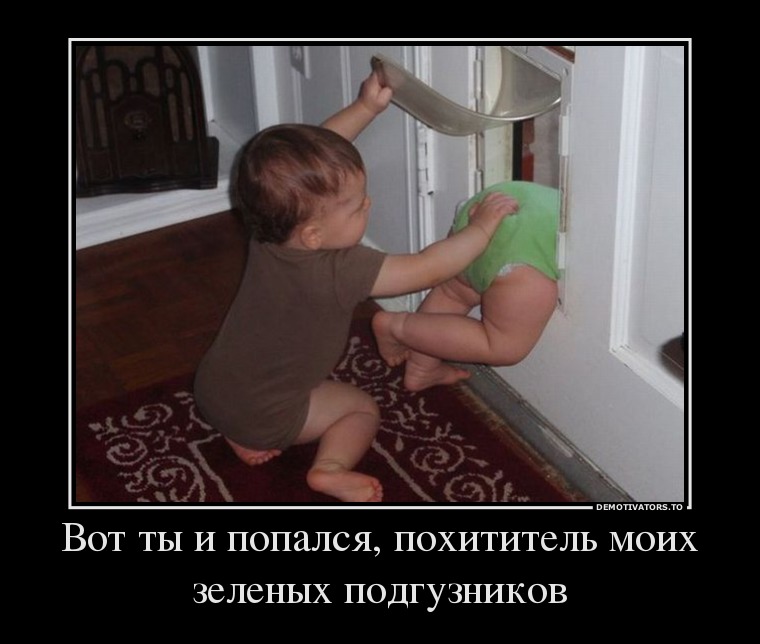 575715_vot-tyi-i-popalsya-pohititel-moih-zelenyih-podguznikov_demotivators_to.jpg