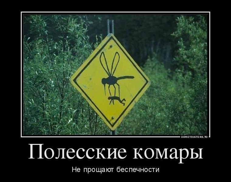 789302_polesskie-komaryi_demotivators_to.jpg