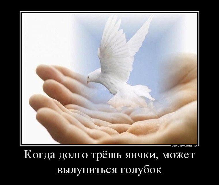 409424_kogda-dolgo-tryosh-yaichki-mozhet-vyilupitsya-golubok_demotivators_to.jpg