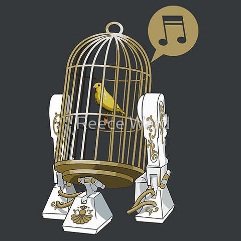 R2D2-Bird-Cage.jpg