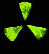 Lemon.en.cx