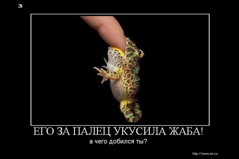 Облизывание лягушек. Зубы у лягушки и жабы. Жаба кусает. Поедание лягушки. Жаба кусает.