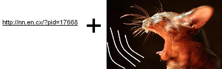 Ссылка