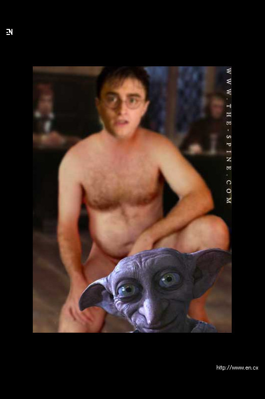 Harry Pussies