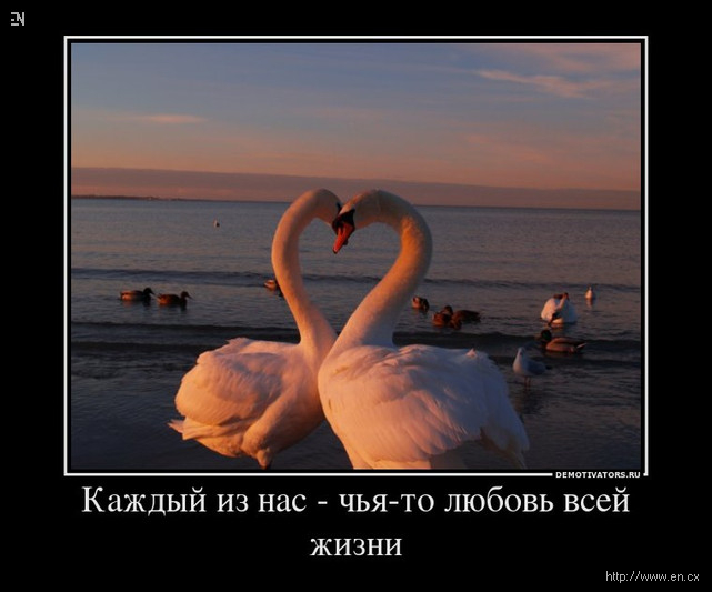 Кто такой однолюб. Любовь и верность. Любовь это верность и преданность. Верность друг другу. Преданность в любви.