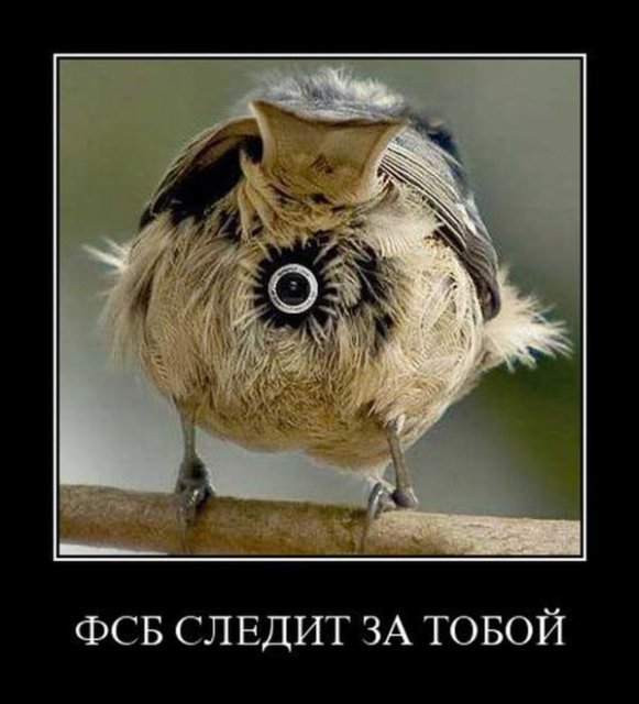камера.jpg
