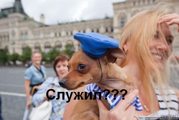 podborlI.jpg