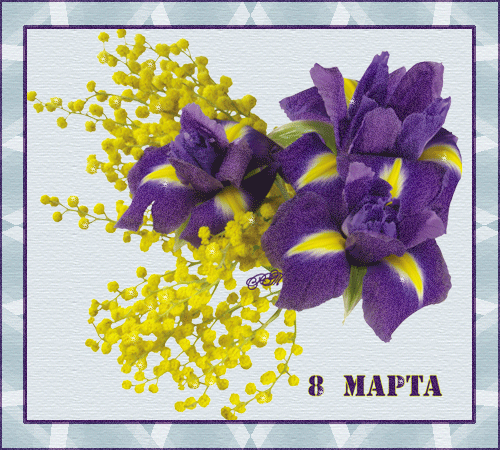 8марта-рт.2.gif