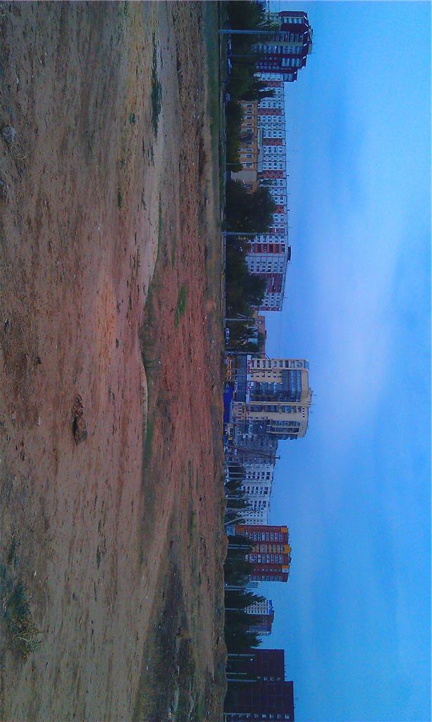 IMAG0665.jpg