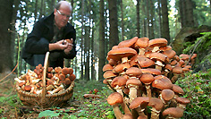 0,6992,7177186-render-O4-,00.jpg