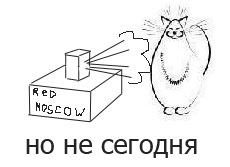 120.коты.jpg