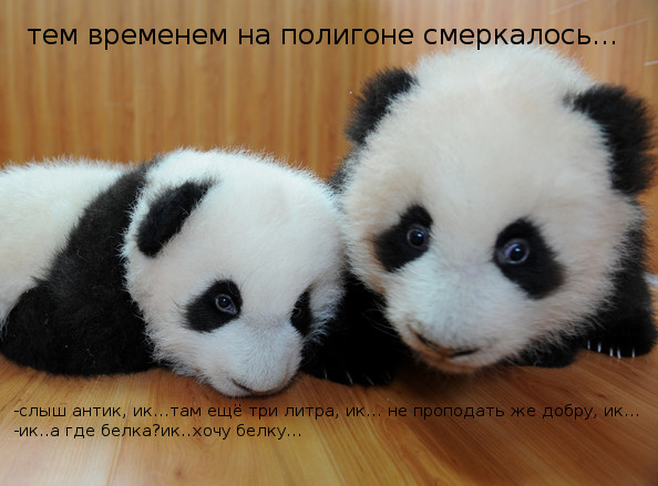 Panda+Twins+Born+Protection+Research+Centre.jpg