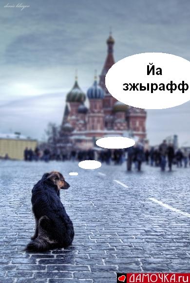 3.1171995440.jpg