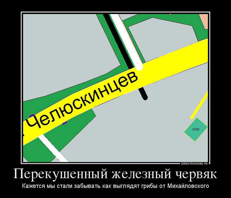 335576_perekushennyij-zheleznyij-chervyak_demotivators_ru.jpg