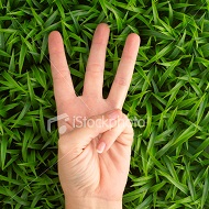 stock-photo-6312413-hand-three.jpg