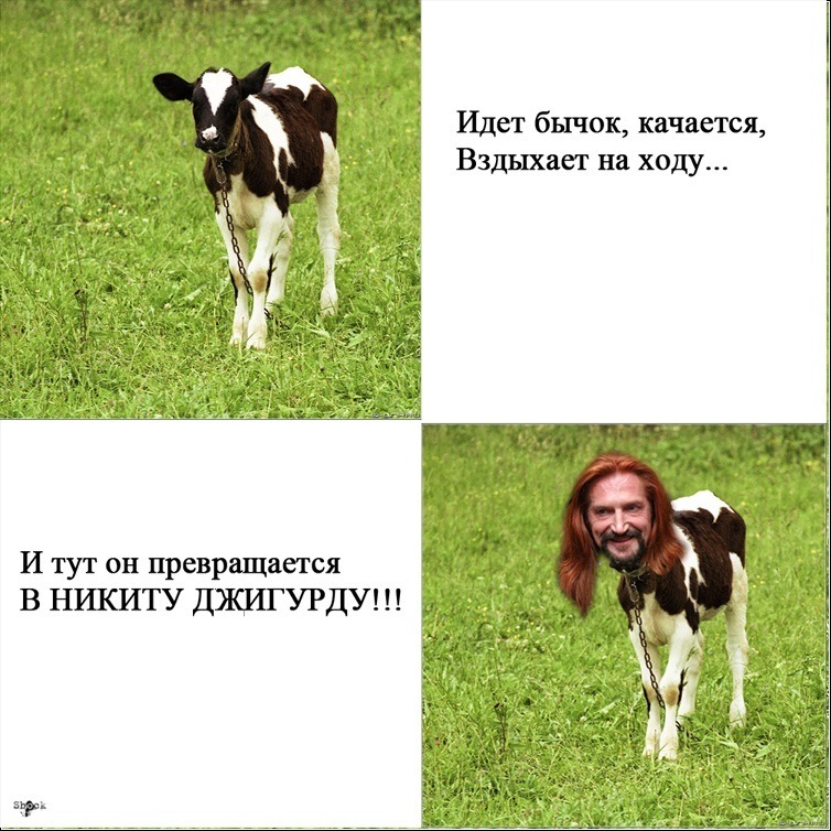 Как обозвать никиту. Шутки про Никиту. Стих про Никиту смешной. Смешной стик про Никитк. Смешные анекдоты про Никиту.