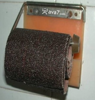 1230726543_toilet_paper17.jpg