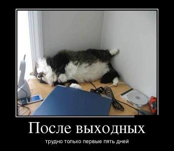 demotivatory_na_ponedelnik_30_foto_4.jpg