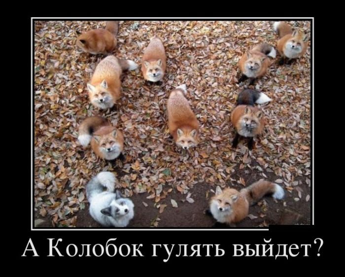 demotivatory_na_sredu_30_foto_0.jpg