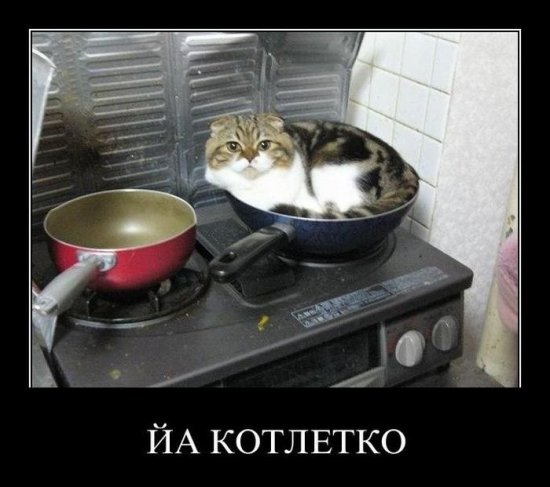 1327590008_demotivatory_na_chetverg_30_foto_23.jpg