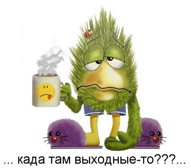 vihi.jpg