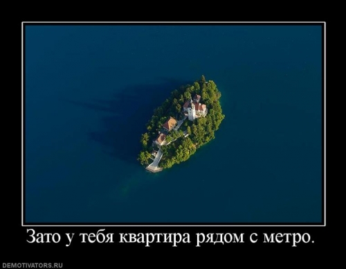 528403.jpg