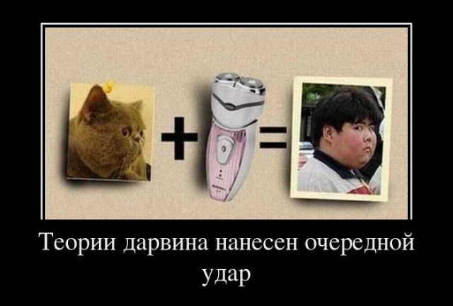 getImage?photoId=417871233985&photoType=0