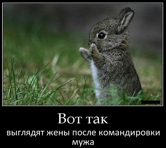 getImage?photoId=417871237825&photoType=0