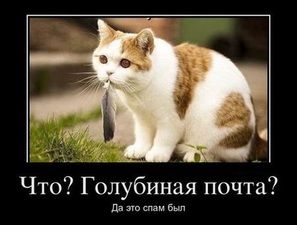 getImage?photoId=406303133889&photoType=0