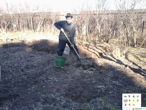 Безымянный.jpg