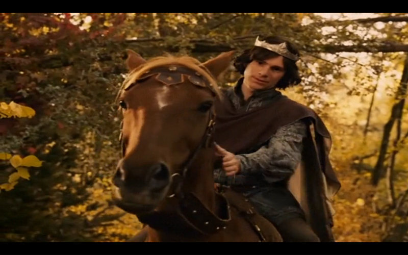 Хроники нарнии.jpg