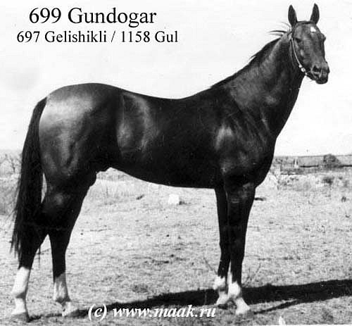 699gundogar.jpg