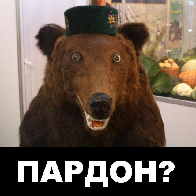 пардон.jpg