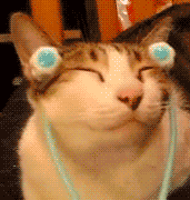 x_1323450900_the_definitive_collection_of_cat_39.gif