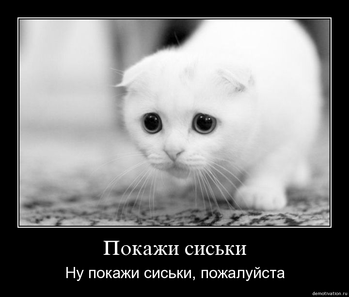 3286qjfrcwou.jpg