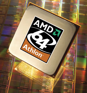 amd64-300x320.jpeg