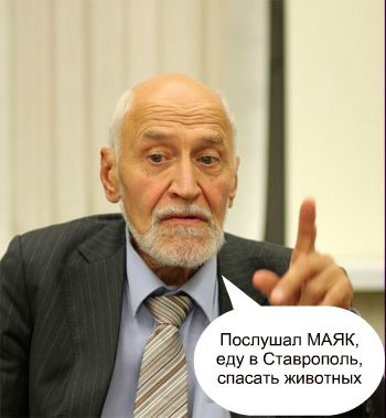 21690_drozd.jpg