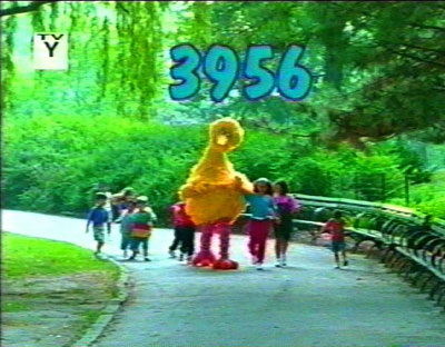 3956.jpg