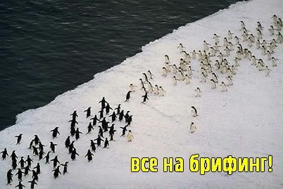 rBFvhMemMwM.jpg