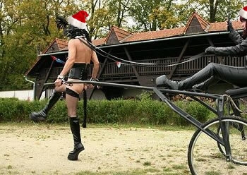 Horses-003.jpg