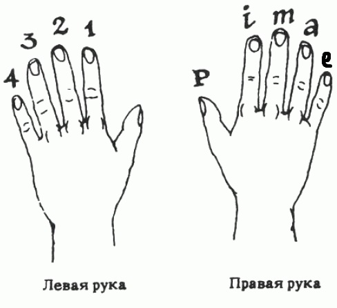 Признак музыкальных пальцев 8 букв