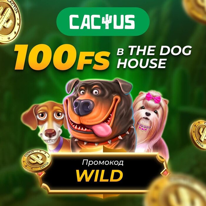 cactus-casino-промокод (2).jpg