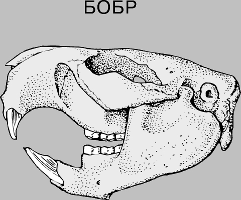 12359822752fae.jpg