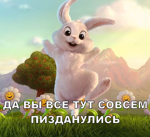 10069752.jpg